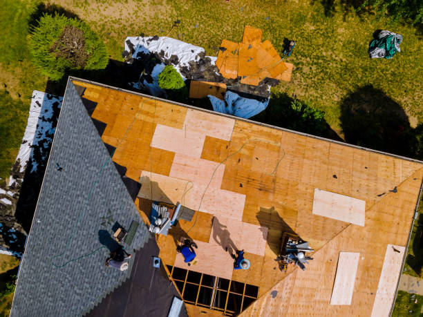 Best Roof Restoration Services  in Warrensville Heights, OH
