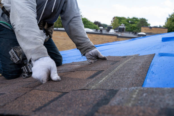Best Roof Leak Repair  in Warrensville Heights, OH
