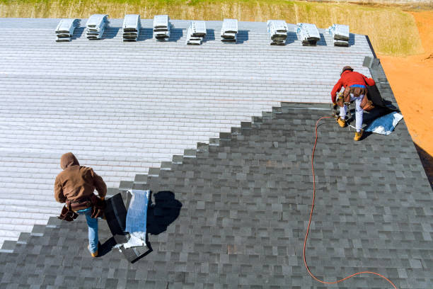 Best Storm Damage Roof Repair  in Warrensville Heights, OH
