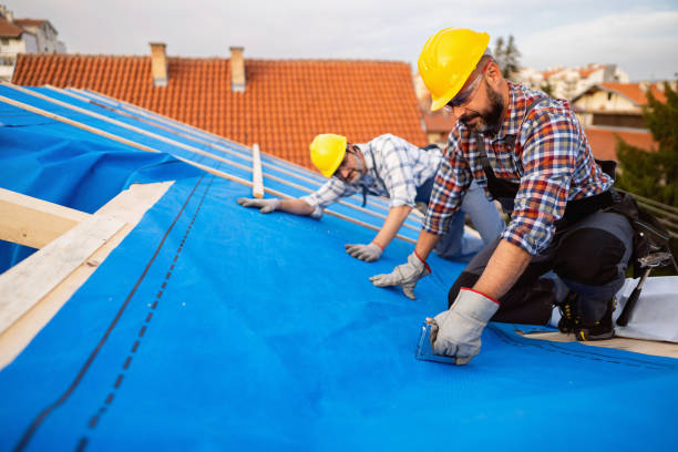 Roof Gutter Cleaning in Warrensville Heights, OH