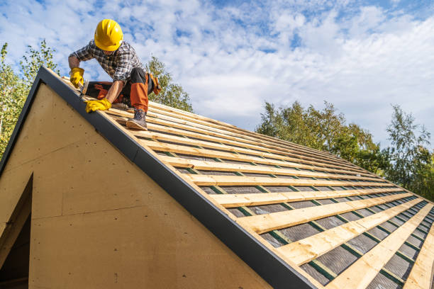 Best Storm Damage Roof Repair  in Warrensville Heights, OH