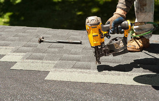Best Roof Gutter Cleaning  in Warrensville Heights, OH