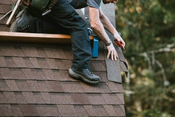 Best Roof Repair Services  in Warrensville Heights, OH